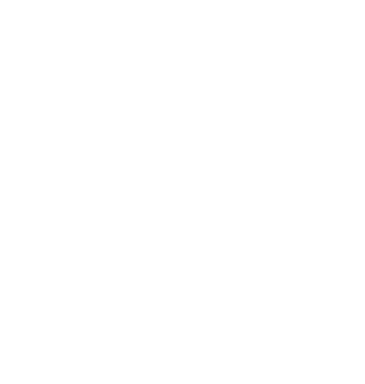 Sentral godkjenning ikon